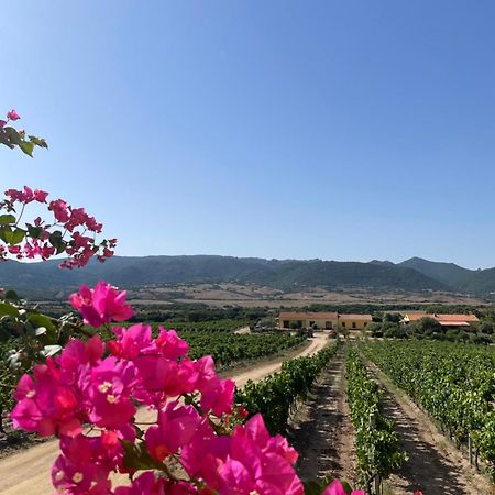 Agriturismo Campesi Casale Tra Le Vigne Aglientu Zewnętrze zdjęcie