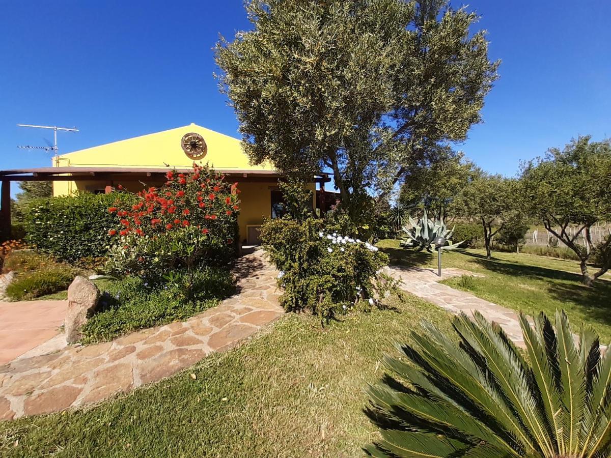 Agriturismo Campesi Casale Tra Le Vigne Aglientu Zewnętrze zdjęcie