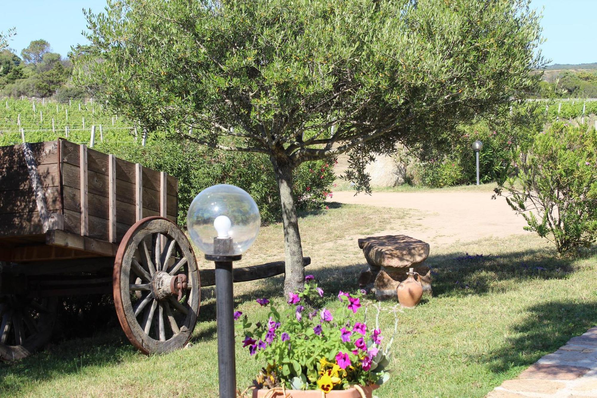 Agriturismo Campesi Casale Tra Le Vigne Aglientu Zewnętrze zdjęcie