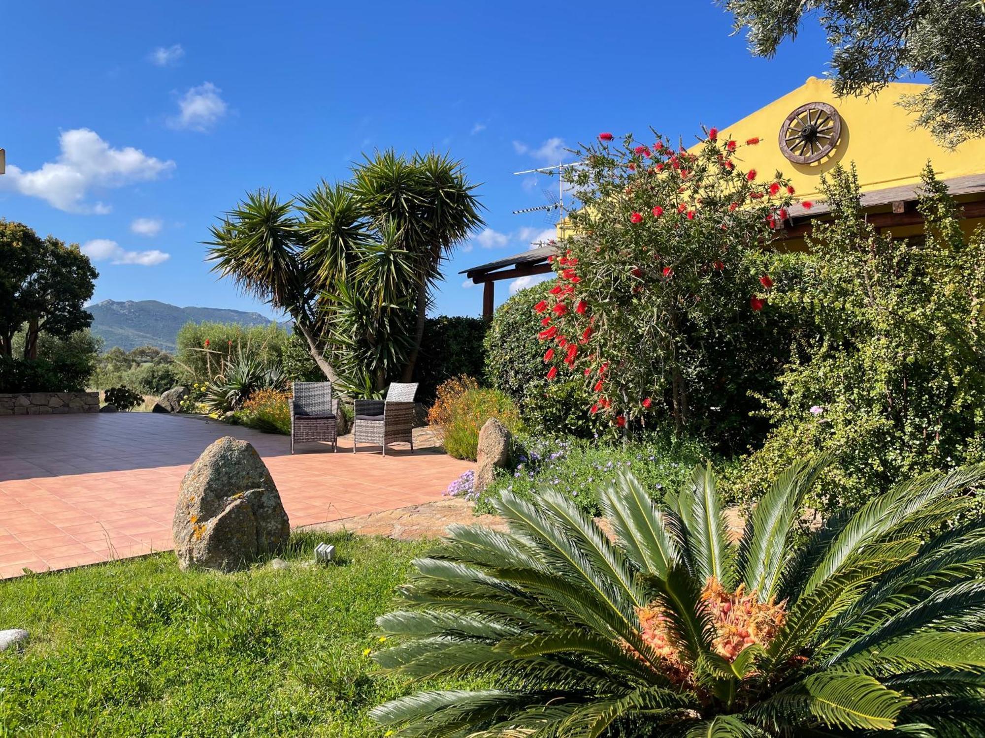 Agriturismo Campesi Casale Tra Le Vigne Aglientu Zewnętrze zdjęcie