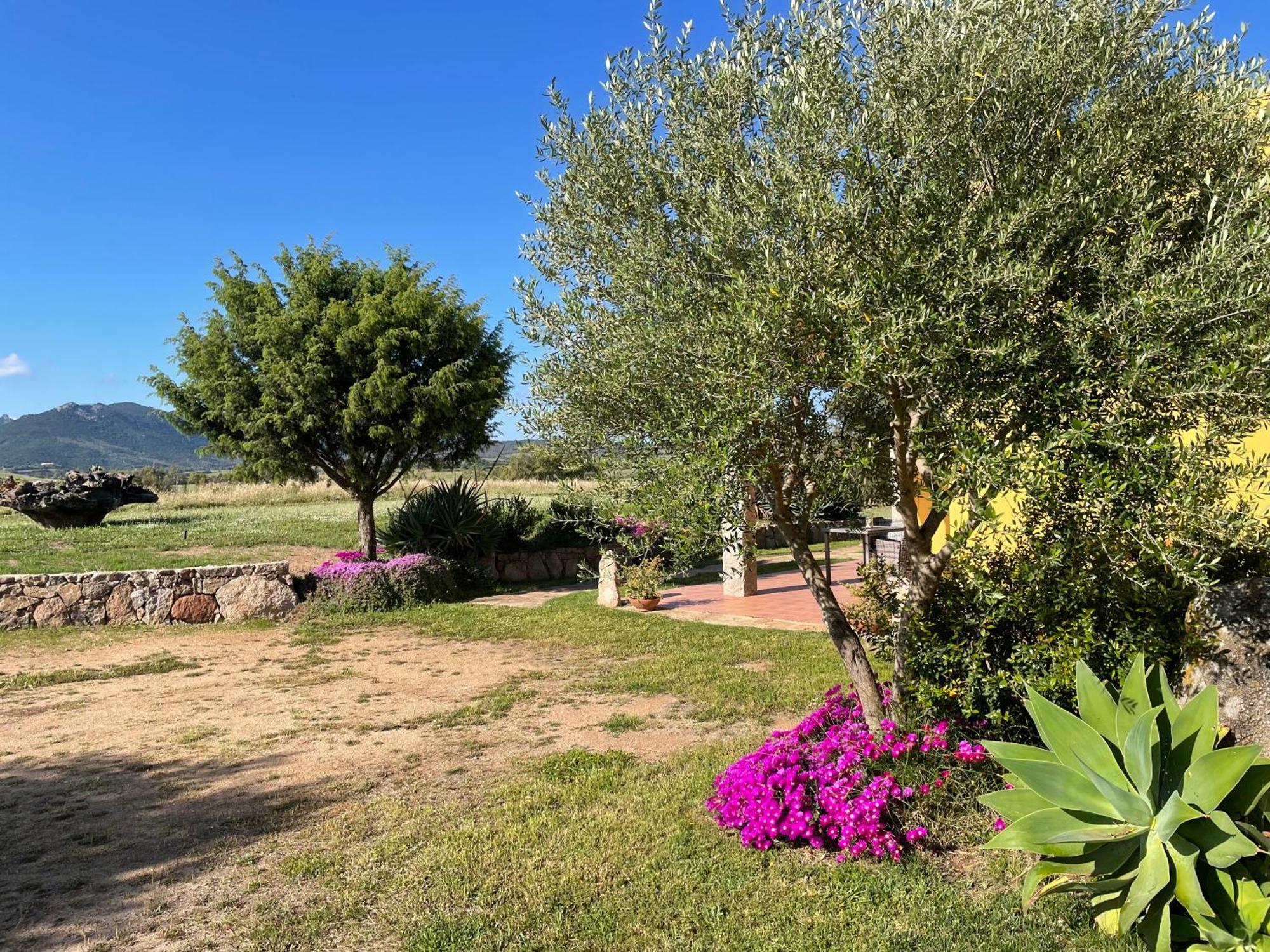 Agriturismo Campesi Casale Tra Le Vigne Aglientu Zewnętrze zdjęcie