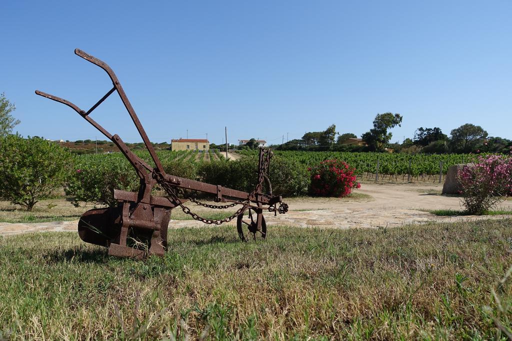 Agriturismo Campesi Casale Tra Le Vigne Aglientu Zewnętrze zdjęcie