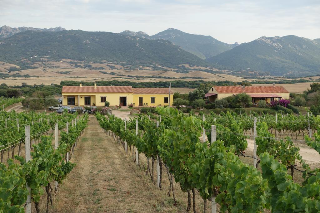 Agriturismo Campesi Casale Tra Le Vigne Aglientu Zewnętrze zdjęcie