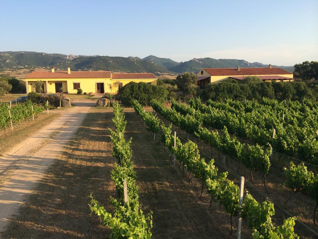 Agriturismo Campesi Casale Tra Le Vigne Aglientu Zewnętrze zdjęcie