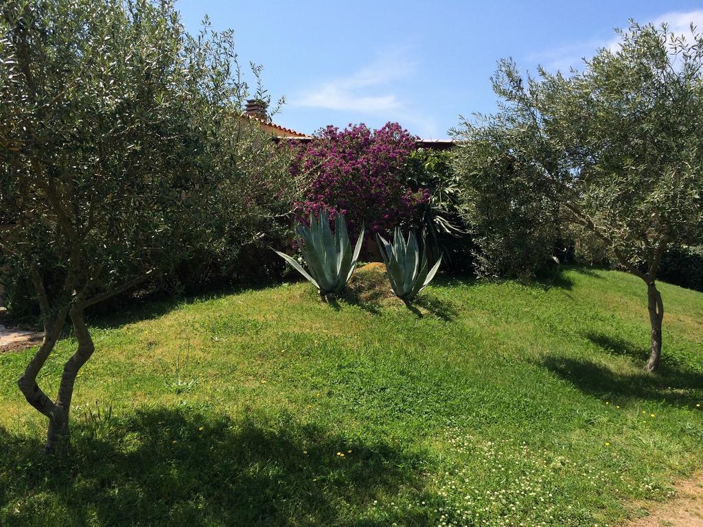 Agriturismo Campesi Casale Tra Le Vigne Aglientu Zewnętrze zdjęcie