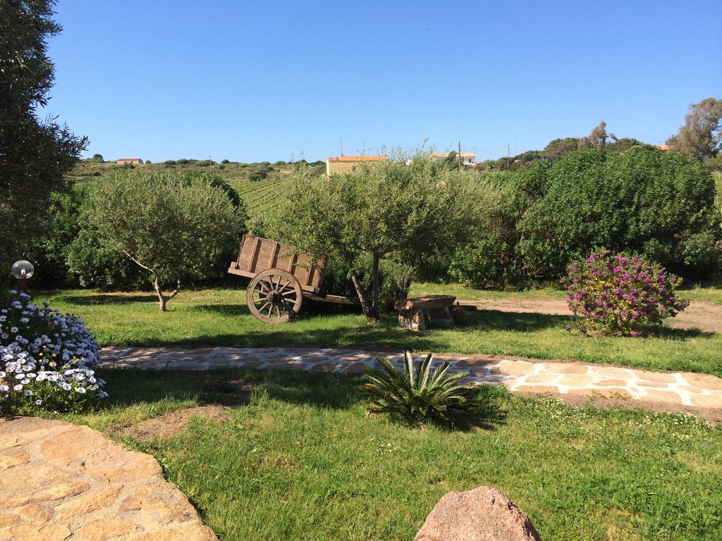 Agriturismo Campesi Casale Tra Le Vigne Aglientu Zewnętrze zdjęcie
