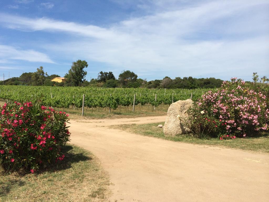 Agriturismo Campesi Casale Tra Le Vigne Aglientu Zewnętrze zdjęcie