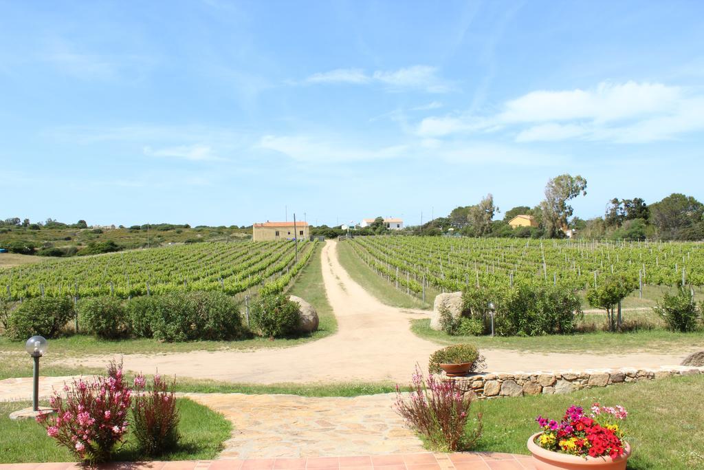 Agriturismo Campesi Casale Tra Le Vigne Aglientu Zewnętrze zdjęcie