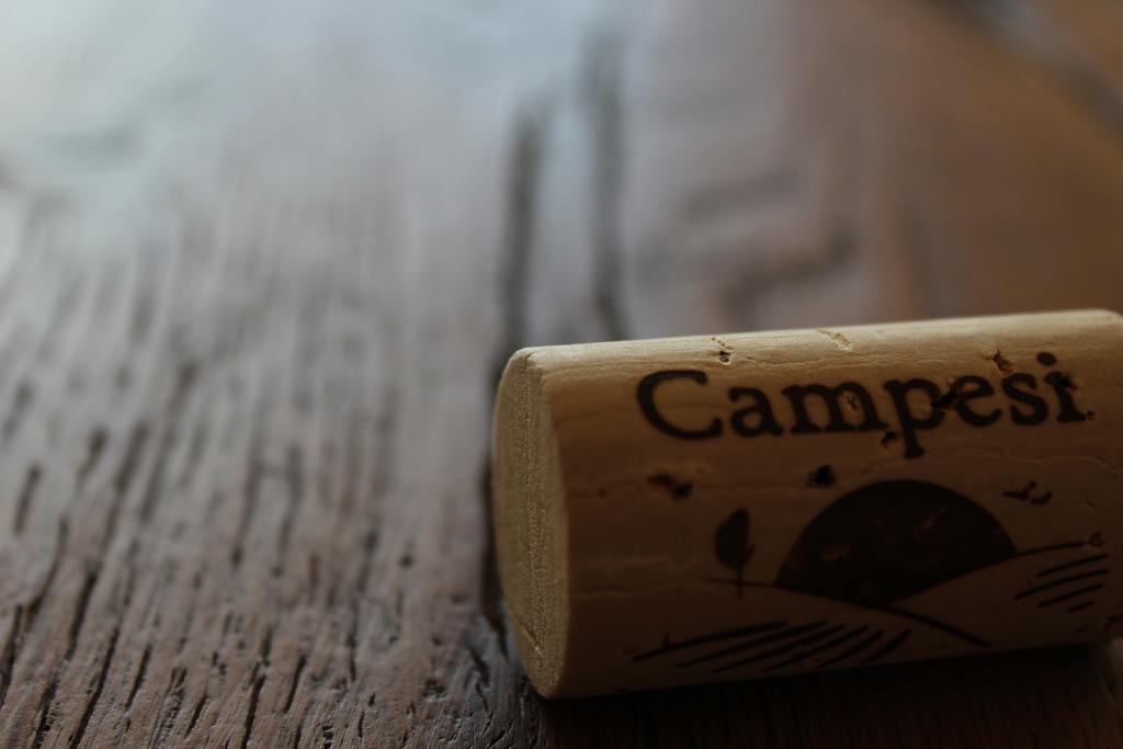 Agriturismo Campesi Casale Tra Le Vigne Aglientu Zewnętrze zdjęcie