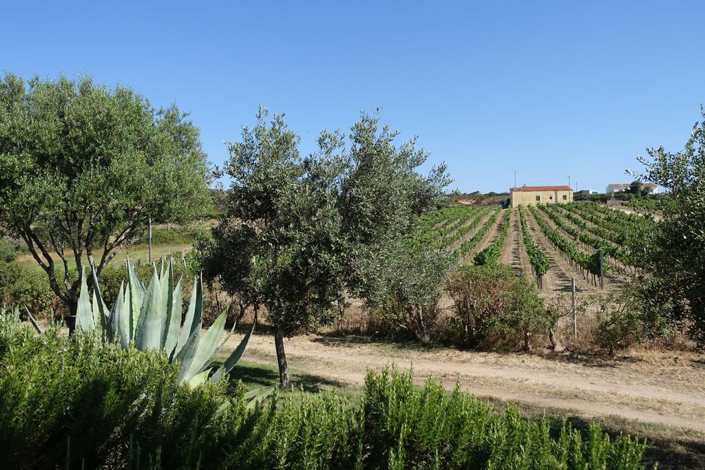 Agriturismo Campesi Casale Tra Le Vigne Aglientu Zewnętrze zdjęcie