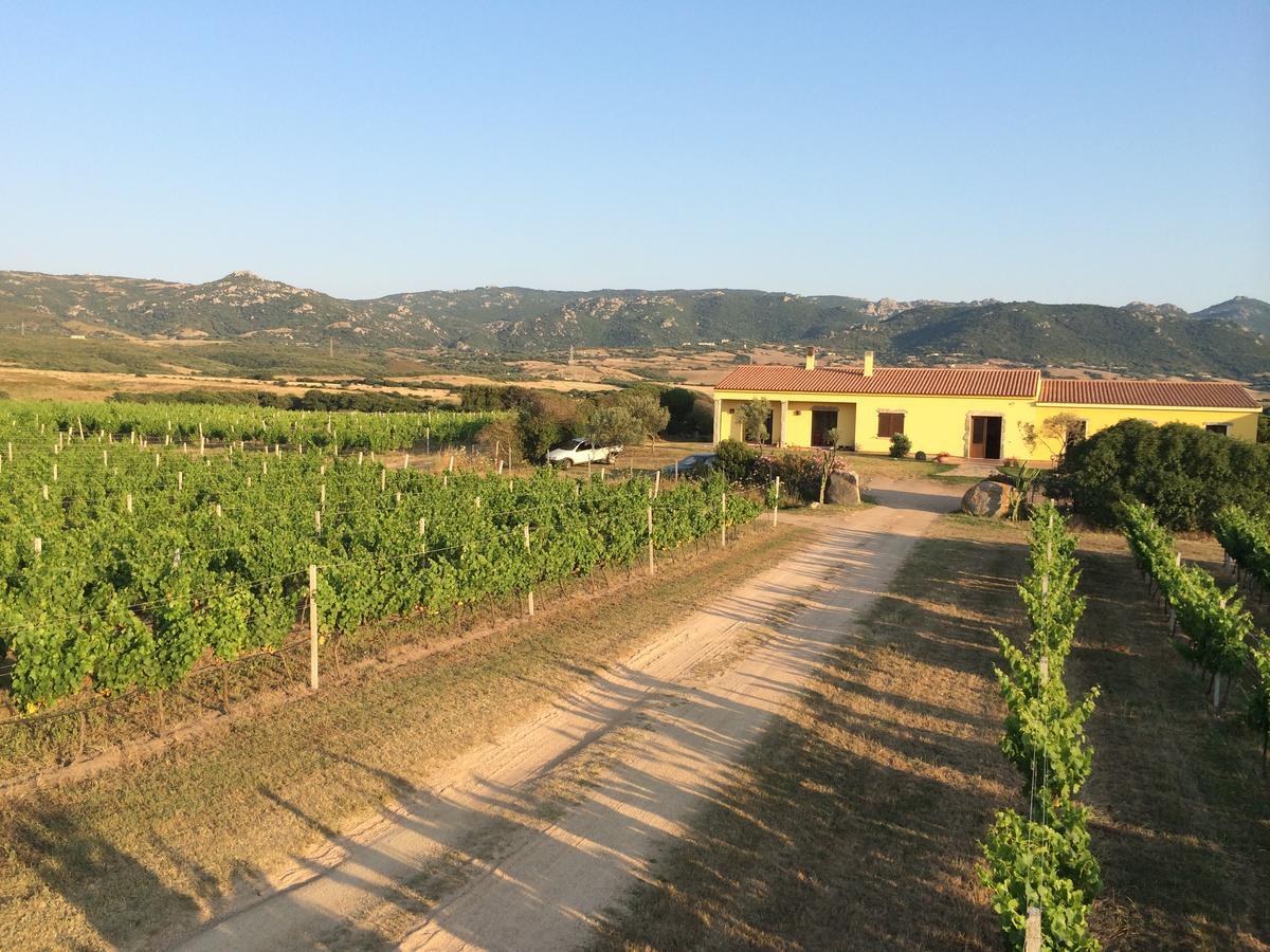 Agriturismo Campesi Casale Tra Le Vigne Aglientu Zewnętrze zdjęcie