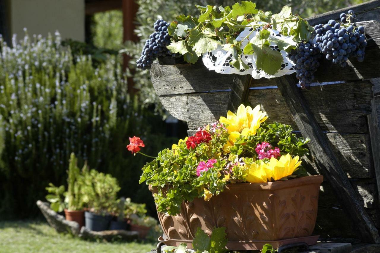 Agriturismo Campesi Casale Tra Le Vigne Aglientu Zewnętrze zdjęcie