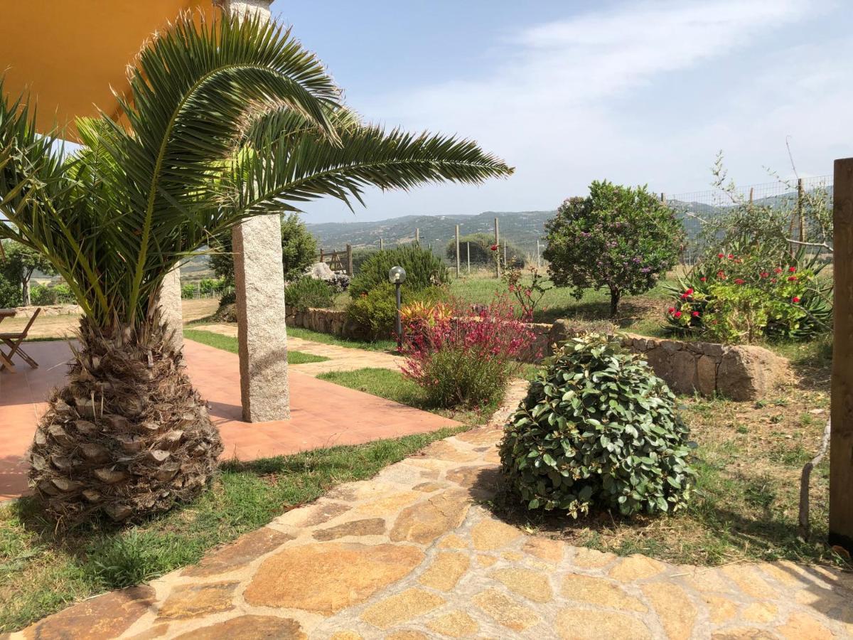 Agriturismo Campesi Casale Tra Le Vigne Aglientu Zewnętrze zdjęcie