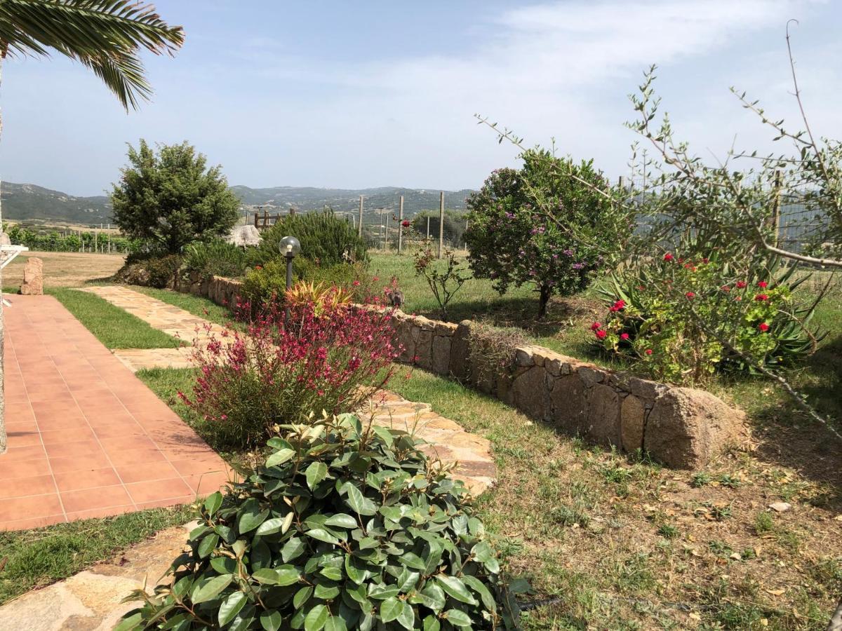 Agriturismo Campesi Casale Tra Le Vigne Aglientu Zewnętrze zdjęcie